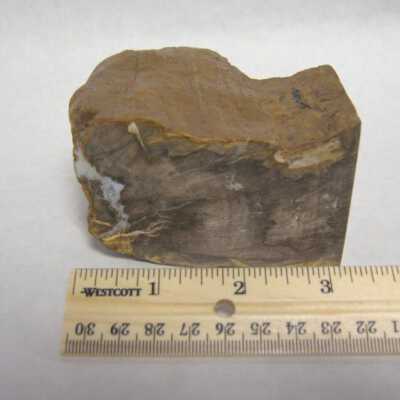 Limb Cast