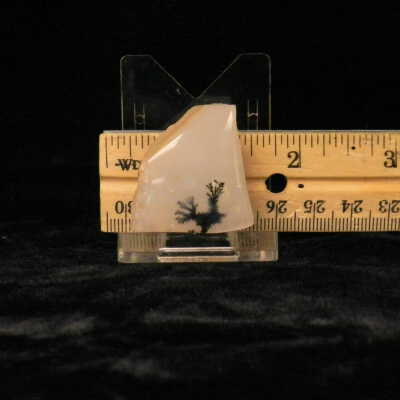 Dendritic Agate
