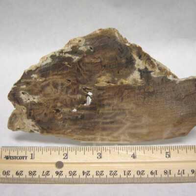 Limb Cast