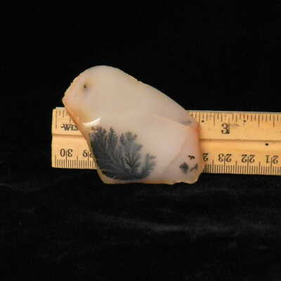 Dendritic Agate