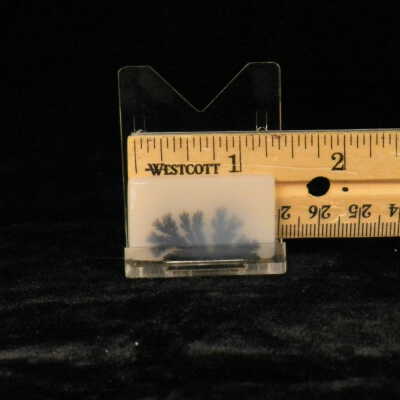 Dendritic Agate