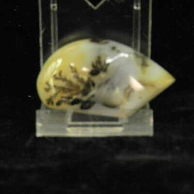 Quartz var. Agate