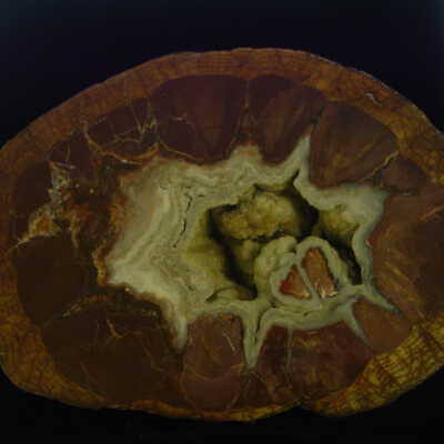 Thunderegg