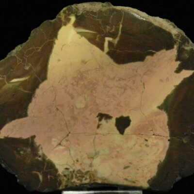 Thunderegg