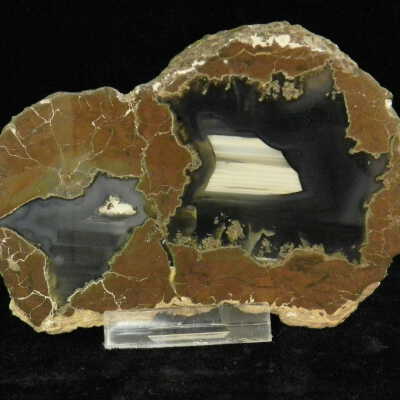 Thunderegg (double)