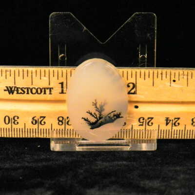 Dendritic Agate