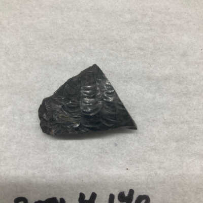 Projectile Point Fragment