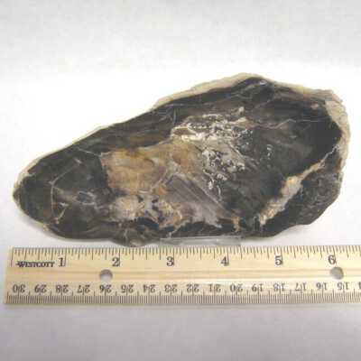 Limb Cast