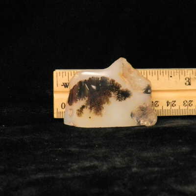 Dendritic Agate