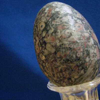Crinoid Stone Egg