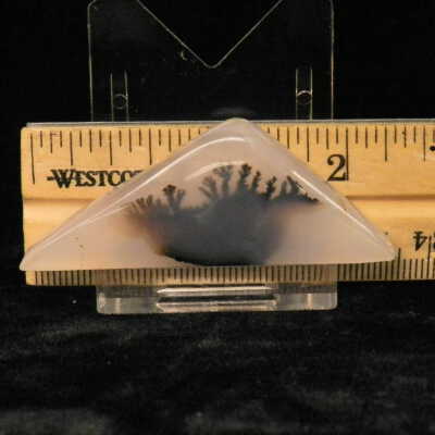 Dendritic Agate