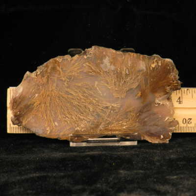 Quartz var. Agate (sagenite)
