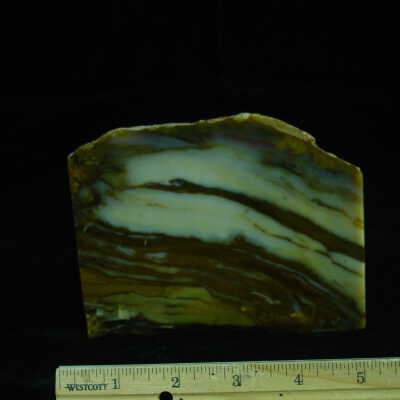 Jasper