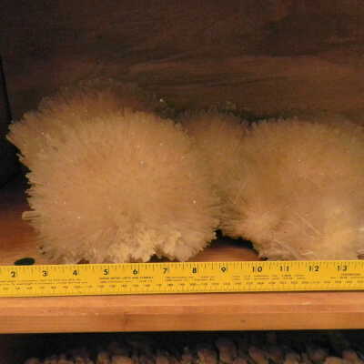 Scolecite