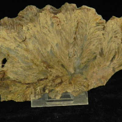 Quartz var. agate