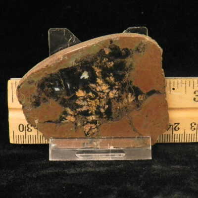 Plume Agate