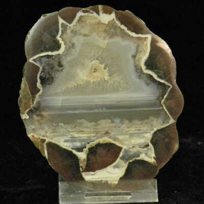 Thunderegg