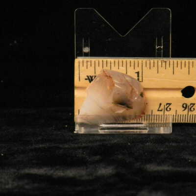 Dendritic Agate