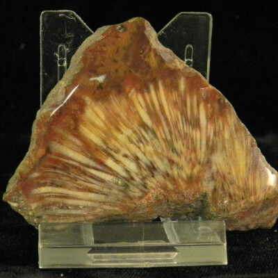 Quartz var. agate