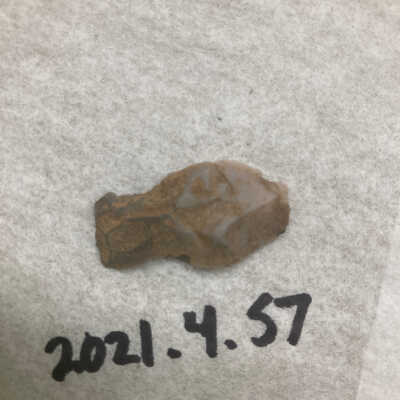 Grey CCS Projectile Point