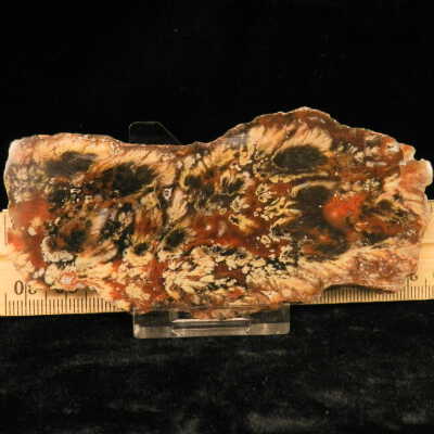Plume Agate