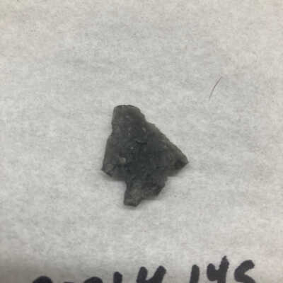 Projectile Point