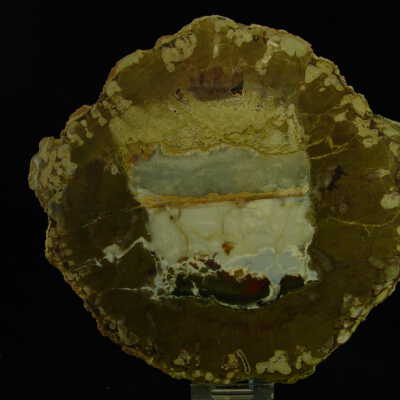 Thunderegg