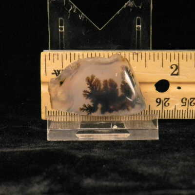 Dendritic Agate