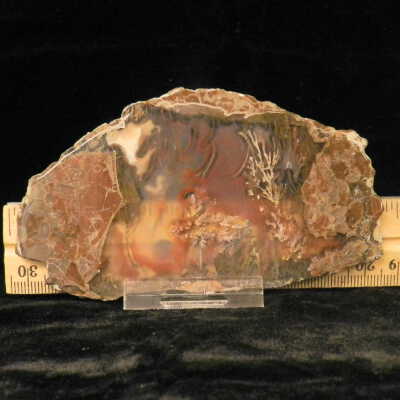 Plume Agate