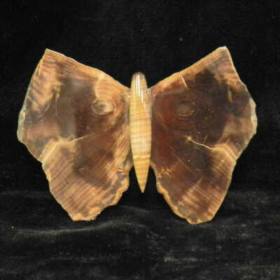 Quartz var. Agate