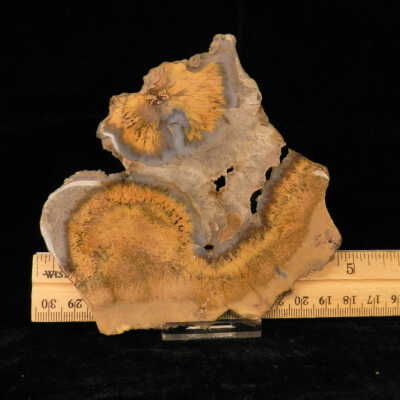 Quartz var. Agate (sagenite)