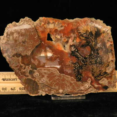 Plume Agate