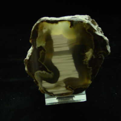 Thunderegg