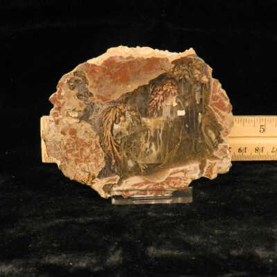 Plume Agate