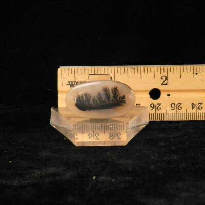 Dendritic Agate