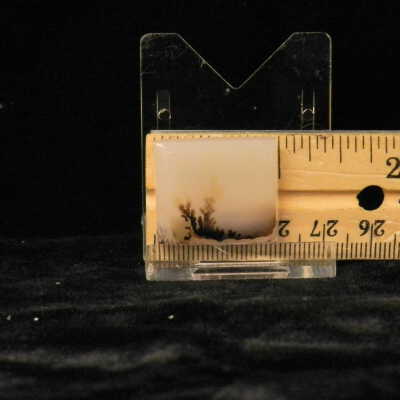 Dendritic Agate