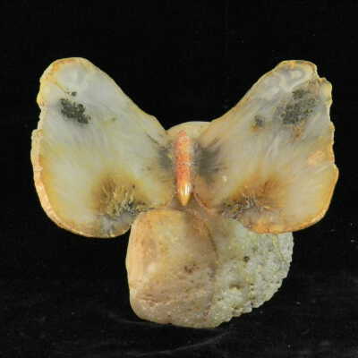 Quartz var. Agate