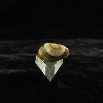 Quartz var. Agate