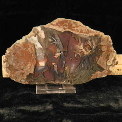 Plume Agate