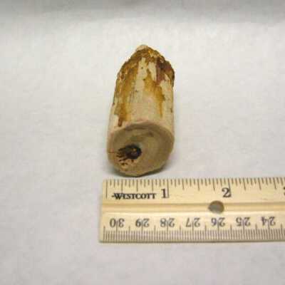 Limb Cast