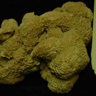 Gypsum