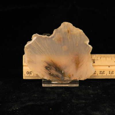 Quartz var. Agate (sagenite)