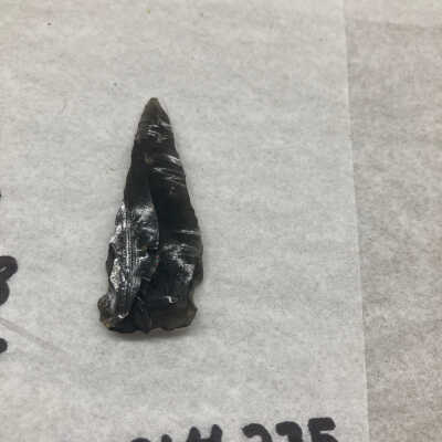 Projectile Point