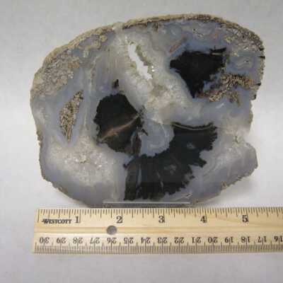 Limb Cast