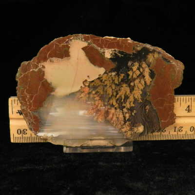 Plume Agate