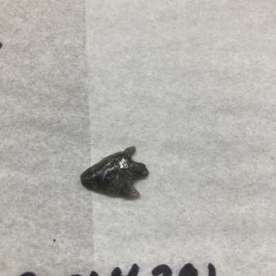 Projectile Point