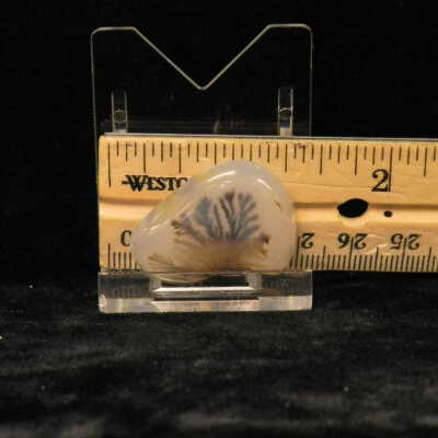 Dendritic Agate
