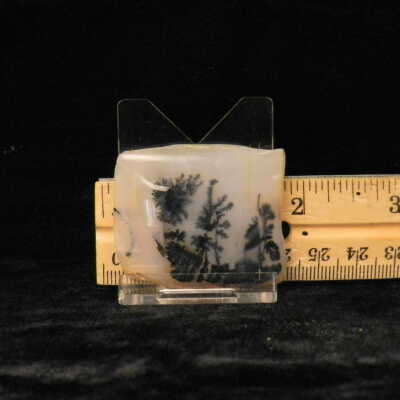 Dendritic Agate