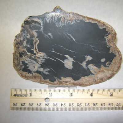 Limb Cast