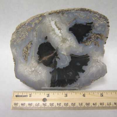 Limb Cast